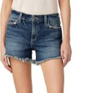 The Ozzie Short 4" Mid Rise in Denim by Joe's (31)